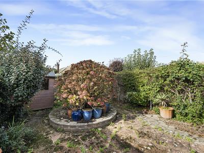 Picture 20